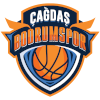 https://img.crazycoil.com/img/basketball/team/8b1e25c5d2bd93d0accfbaba14185f05.png